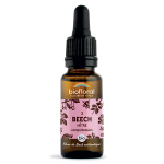 Biofloral fleur de bach 03 beech hetre compte gouttes bio demeter 20 ml