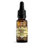 Biofloral fleur de bach 07 chestnut bud bourgeons marronnier bio 20 ml