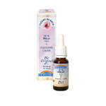 Biofloral fleur de bach n°15 holly 20ml Biofloral fleur de bach n°15 holly 20ml
