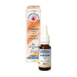 Biofloral fleur de bach n17 hornbeam 20ml