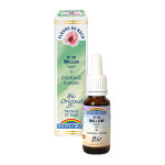 Biofloral fleur de bach n38 willow 20ml