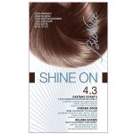 Bionike shine on coloration cheveux permanente haute tolrance chatain dor 4. 3