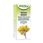 Biover reine des prs - spiraea ulmaria teinture bio 50ml