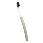 La brosserie franaise edith brosse  dents medium coquilles st jacques