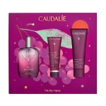 Caudalie coffret th� des vignes
