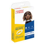 Clment thkan deltatic collier petit chien