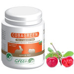 Cobagreen complexe vitamines (c, b, a) cobaye et autre petit rongeur poudre orale 100g