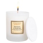 Collines de provence bougie parfume infusion d'agrumes 180g
