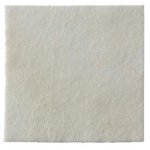 Coloplast biatain alginate pansements 15x15cm 10 units
