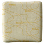 Coloplast biatain pansements non adh�sifs 12, 5x12, 5cm 10 unit�s