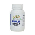 Le comptoir de l'apothicaire boswellia bio 200 glules