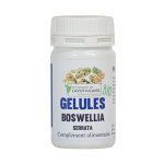 Le comptoir de l'apothicaire boswellia bio 90 glules
