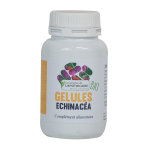 Le comptoir de l'apothicaire echinacea racine bio 200 glules