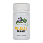 Herbier de gascogne epilobe bio 90 g�lules
