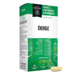 Dayang �nergie ar�me orange 30 comprim�s