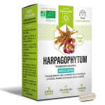 Dayang harpagophytum bio 30 glules
