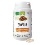 Dayang propolis bio 60 g�lules