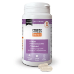 Dayang stress �nergie 60 g�lules