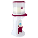 Dbb remond dbb'dose blanc et marsala