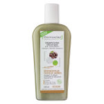 Dermaclay shampooing bio rgnrateur cheveux abims 250ml