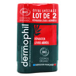 Dermophil indien stick rparation lvres abmes bio lot de 2 x 4g