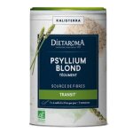 Dietaroma psyllium pot 300 grammes