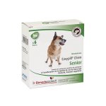 Easypill chien senior (tonicité fonction cognitive) barre 6x 28g Easypill chien senior (tonicité fonction cognitive) barre 6x 28g