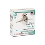 Easypill smectite chien réduction malabsorption intestinale barre appétente boite de 6 Easypill smectite chien réduction malabsorption intestinale barre appétente boite de 6
