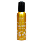 Elixirs & co brume de bien - Être urgences 100ml Elixirs & co brume de bien - Être urgences 100ml