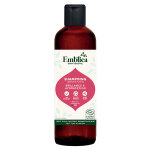 Emblica soins capillaires shampooing brillance & hydratation bio 250ml