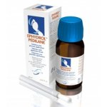 Ephydrol pedilane solution avec pinceau applicateur 60ml