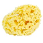 Estipharm eponge naturelle moyen modèle petipouce n°8 Estipharm eponge naturelle moyen modèle petipouce n°8