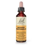 Fleurs de bach m�langes expert de bach� recharge �motionnelle 20ml