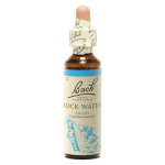 Fleurs de bach n27 rock water - eau de roche 20ml