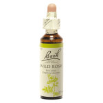 Fleurs de bach n37 wild rose - eglantine 20ml