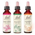 Fleurs de bach original pack emotionnel menopause