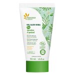 Fleurance nature gel aloe vera 96% bio 50ml