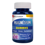 Forté pharma magnésium et vitamine b6 - stress - 45 gummies Forté pharma magnésium et vitamine b6 - stress - 45 gummies