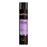 Franck provost laque volume professionnelle tenue 72h 300ml