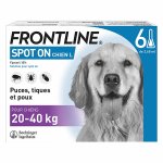 Frontline spot on chien l 6 pipettes