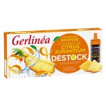 Gerlina concentr ananas et citrus destock 70ml