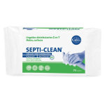 Gifrer septi - clean 70 lingettes Gifrer septi - clean 70 lingettes