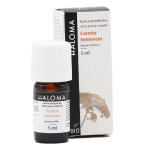 Haloma huile essentielle carotte semences bio 5ml
