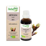 Herbalgem complexe de gemmothrapie artigem articulation bio 30ml