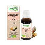 Herbalgem complexe de gemmothrapie celluligem ligne bio 30ml