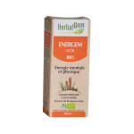 Herbalgem complexe de gemmothrapie energem energi mentale physique bio 30ml