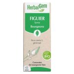 Herbalgem figuier spray bio 15ml