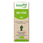Herbalgem mac�rat concentr� bruy�re bio 30ml