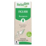 Herbalgem mac�rat concentr� figuier bio 30ml