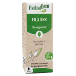 Herbalgem mac�rat concentr� figuier bio 30ml